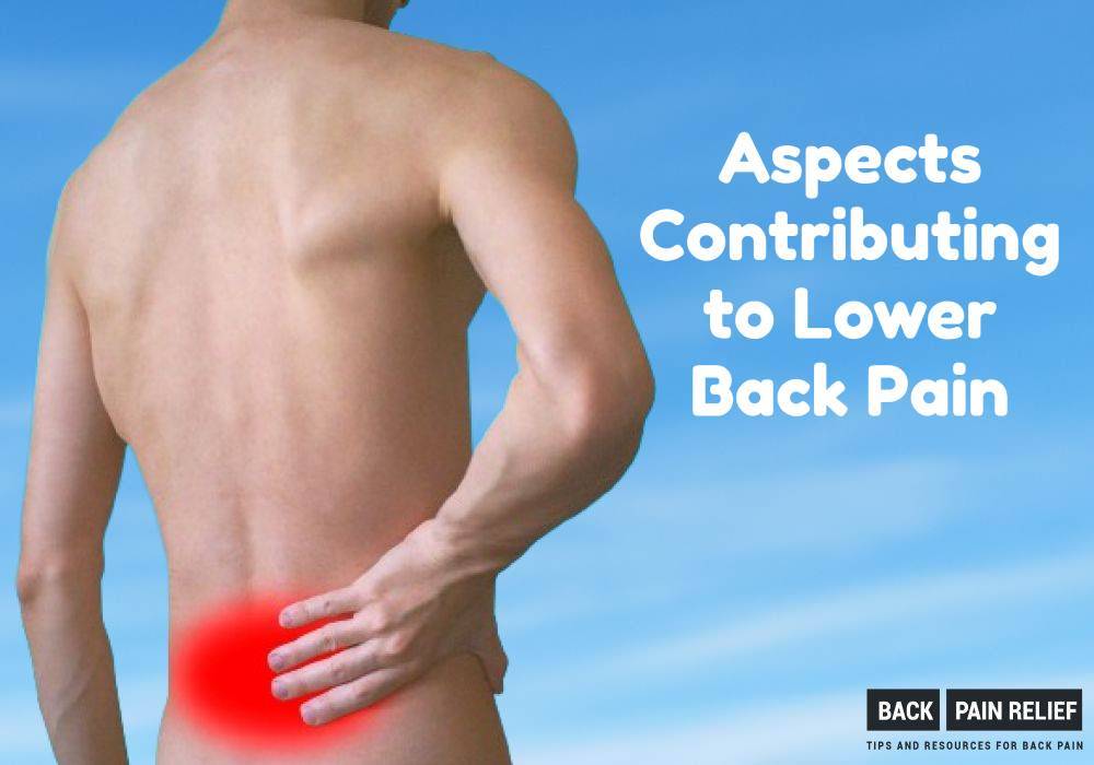 contributing-to-lower-back-pain